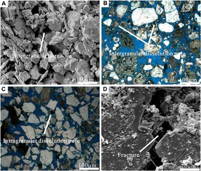 Key factors controlling the accumulation of oil reservoir in the Gaosheng area of Western Depression, Liaohe Basin, Northeastern China